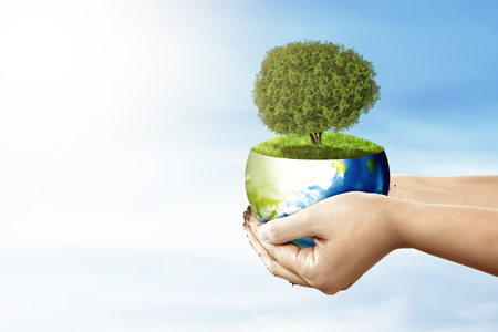 Human hands holding bowl of earth planet with young tree on the green grass over blue sky background. Earth hour conceptの写真素材