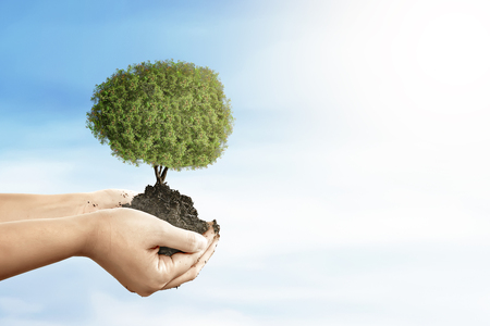 Human hands holding fertile soil with young tree over blue sky background. Earth hour conceptの写真素材
