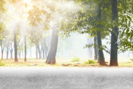 Road side with trees and park view over sunlight backgroundの写真素材