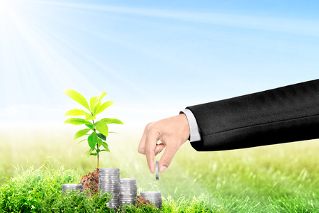 Businessman hand make a pile of coins beside young plant on green grass field. Profit beginning conceptの写真素材