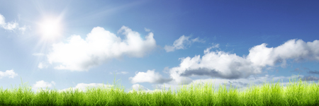 Panorama of green grass and sunlight with blue sky backgroundの写真素材