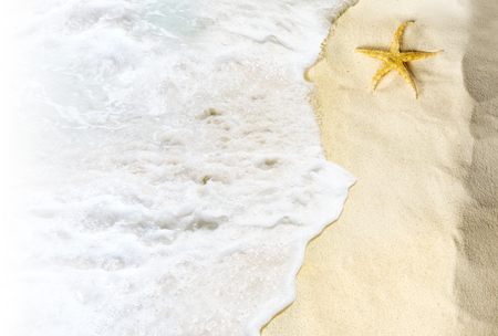 Top view of shells on the sandy beach with wave. Summer backgroundの写真素材