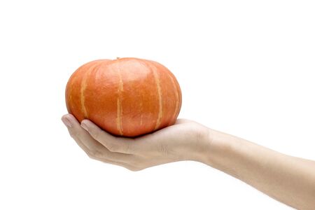 Hand holding pumpkin isolated over white backgroundの写真素材