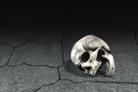 Human skull on the cracked asphalt over dark backgroundの写真素材