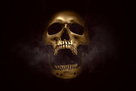 Human skull over dark smoke background