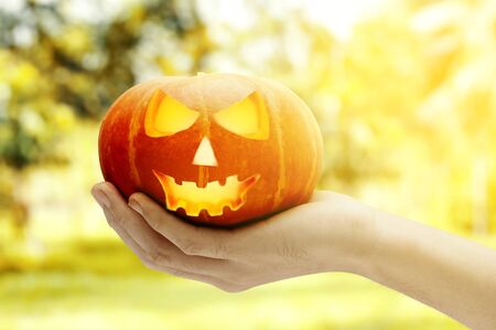 Hand holding Jack-o-Lantern with blurred backgroundの写真素材