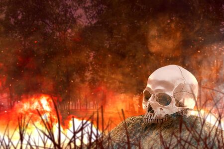 Human skull with fire and smoke on fire in the forest. Halloween concept