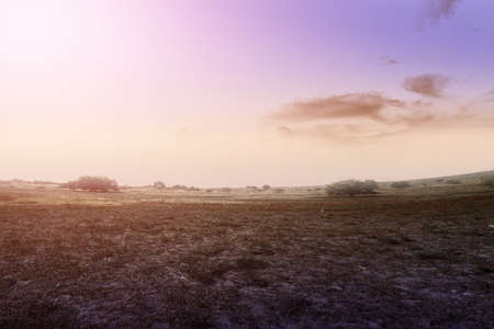 Meadow field with a dramatic sky background