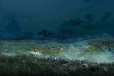 Meadow with the night scene background