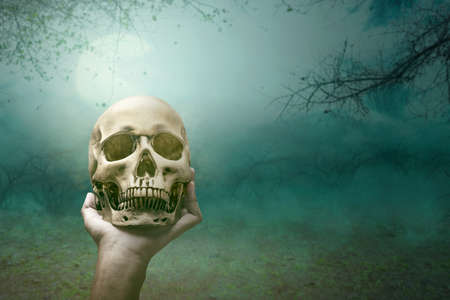 Hand holding a human skull on the haunted forest. Halloween conceptの写真素材
