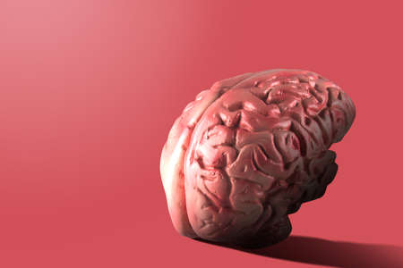 The human brain with a pink background
