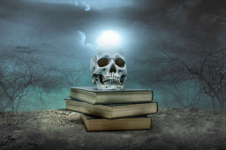 Pile of the book with a human skull with fog on the haunted forest. Halloween conceptの写真素材