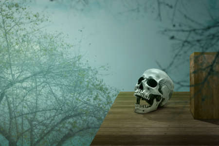 Human skull on the wooden table with smoke and fog in the forestの写真素材