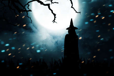 Silhouette of witch woman with a hat standing with a night scene background