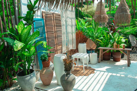Green plants at outdoor with white wall background