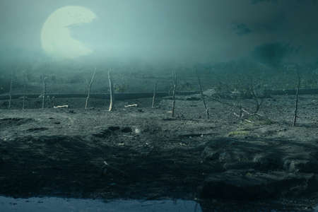 Field with fog with moonlight backgroundの写真素材