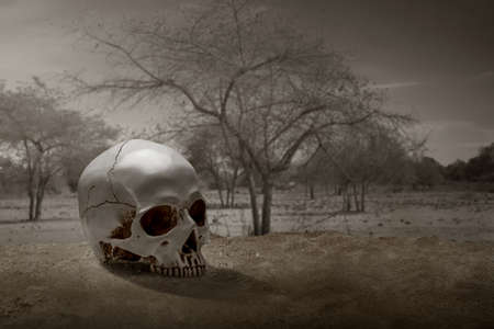 Human skull on the ground with the dramatic scene background
