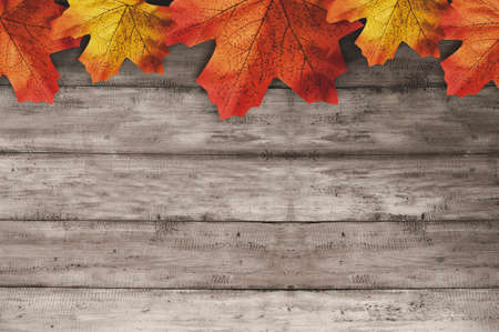 Autumn maple leaf with wooden table background