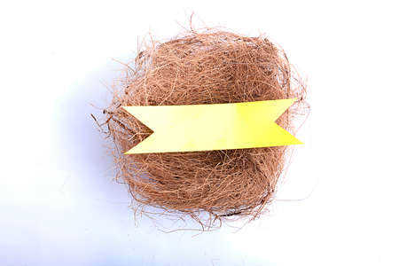 Empty bird nest with colorful ribbon isolated over white background
