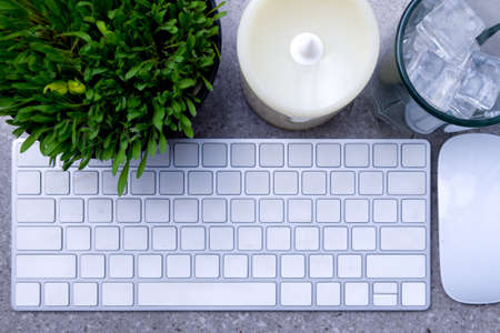 Close up view of millet grass plant in the pot with empty glass with ice cubes and the keyboard on...
