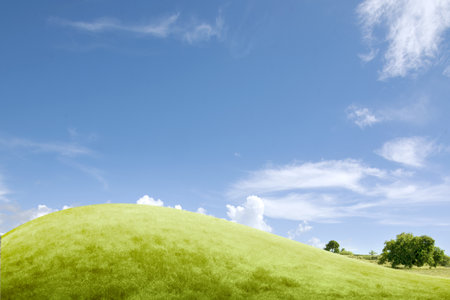 Meadow field with a blue sky background