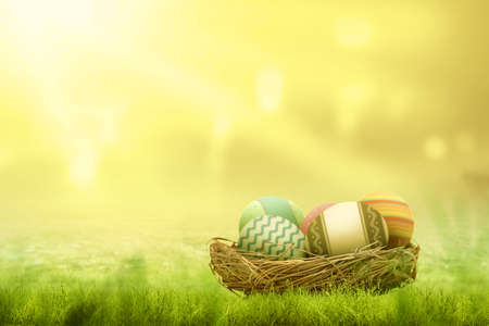 Colorful easter egg on the nest in a wooden basket on the field. Happy Easterの写真素材