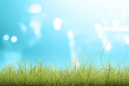Green grass field with blurred light backgroundの写真素材