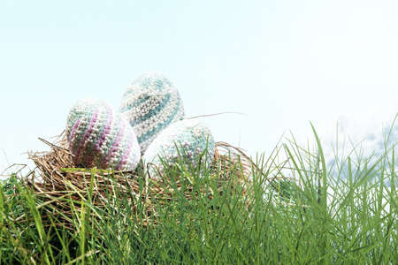 Colorful easter egg in the nest on the field. Happy Easter