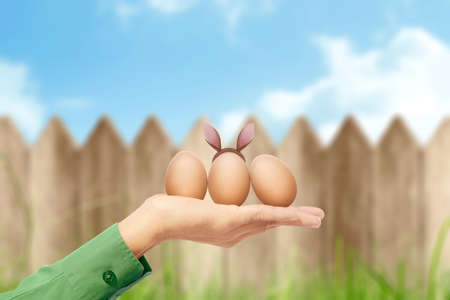 Human hands holding easter eggs with bunny ears and wooden fence background. Happy Easter