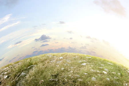 Meadow field with a blue sky backgroundの写真素材