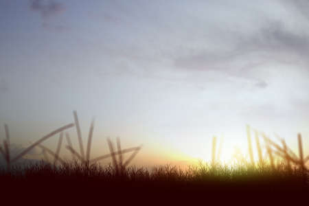 Meadow field with a sunset sky backgroundの写真素材