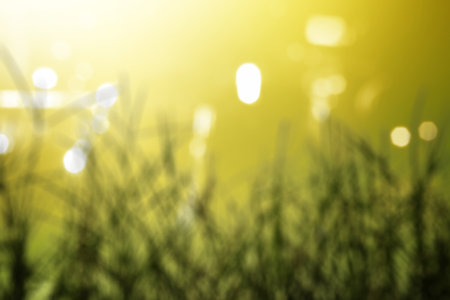 Ground with blurred light background. World environment day