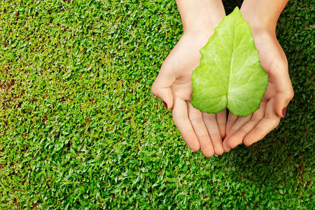 Human hand holding the green leaf. World environment dayの写真素材