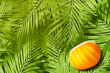 Orange fruit with palm leaves backgroundの写真素材