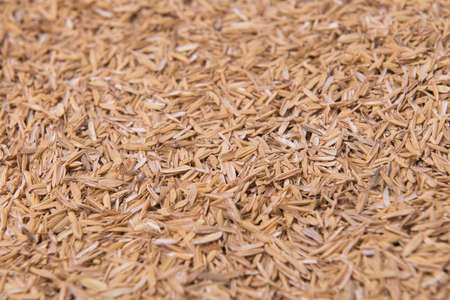 Close up view of raw rice texture for backgroundの写真素材