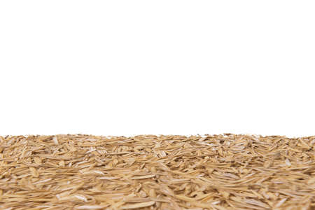 Raw rice with white background