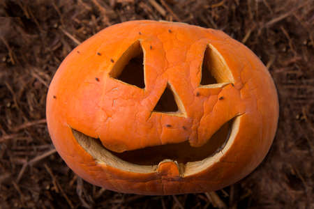 Jack-o-Lantern on the groundの写真素材