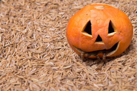 Jack-o-Lantern with worms on the groundの写真素材