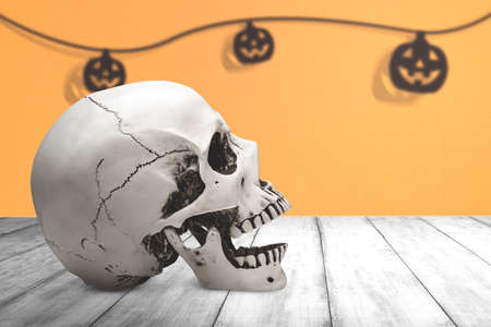 Human skull on a wooden table with colored background