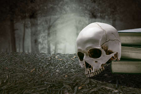 Pile of the book with a human skull on the ground with haunted forest background. Halloween conceptの写真素材