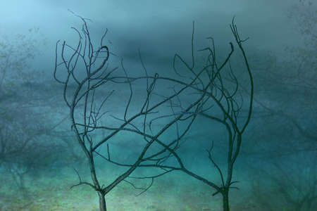 Field with the dramatic scene background