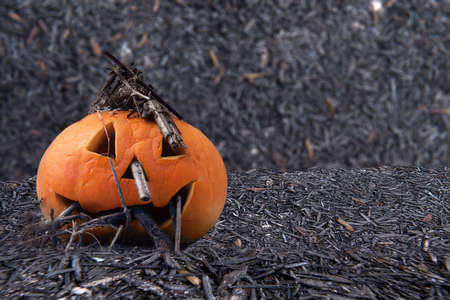 Jack-o-Lantern with a twig on the ground