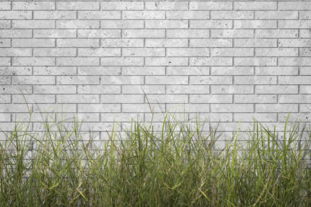 Green grass with gray brick wall backgroundの写真素材
