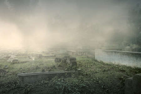 Tombstones on the graveyard with the foggy background. Halloween conceptの写真素材