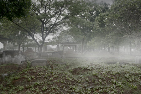 Tombstones on the graveyard with the dramatic scene background. Halloween concept