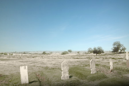 Cemetery with trees and many tombstones on a bright dayの写真素材