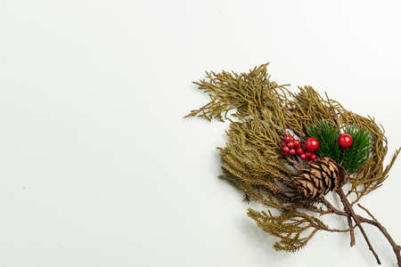 Pine Cone on white background. Christmas decorationの写真素材