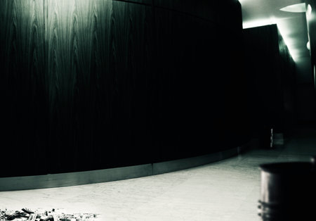 Empty corridor in the interior of the entrance hall of the house with dark background