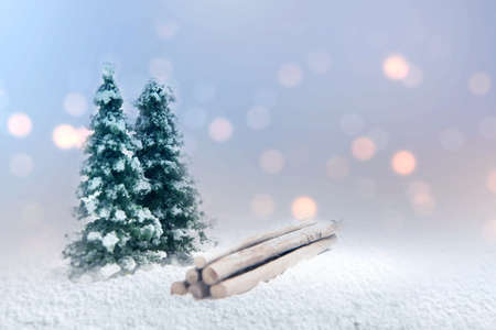 Snowy fir trees on the snowfield