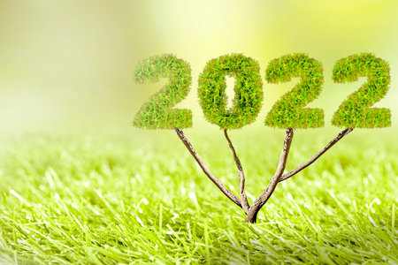 Tree of 2022. Happy New Year 2022の写真素材